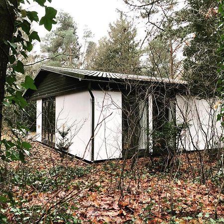 Www Huis Op De Veluwe Nl Nunspeet Kültér fotó