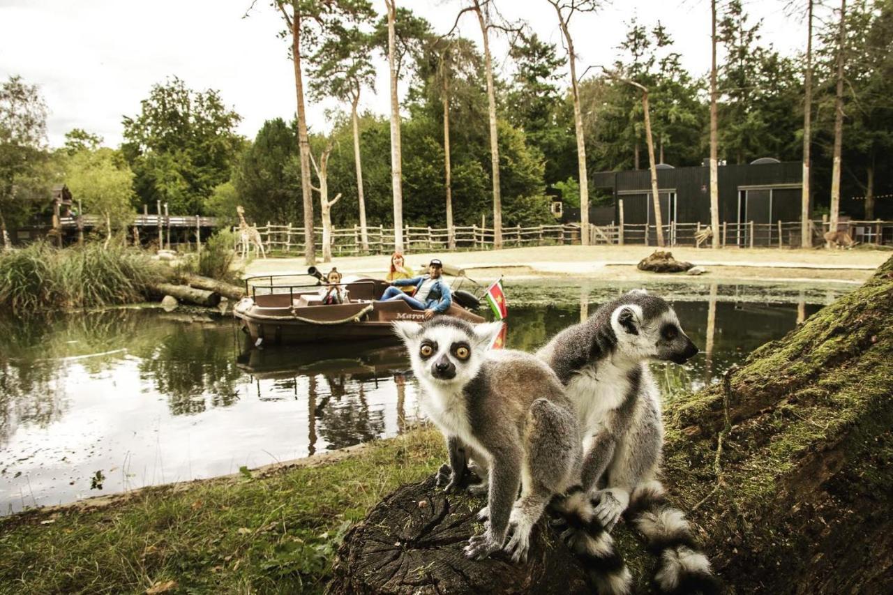 Www Huis Op De Veluwe Nl Nunspeet Kültér fotó