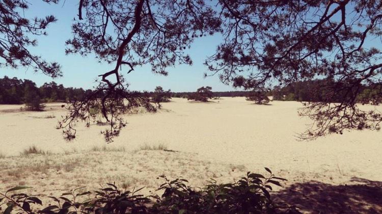 Www Huis Op De Veluwe Nl Nunspeet Kültér fotó